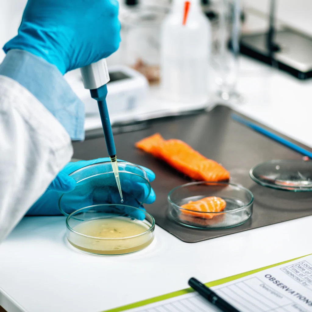 Food safety professional consulting with a team